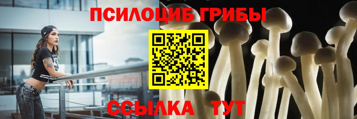 Галлюциногенные грибы мицелий  Галлюциногенные грибы MAGIC MUSHROOMS  Вход с VPN  Гурьевск 